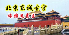 美女骚逼扣逼求草中国北京-东城古宫旅游风景区